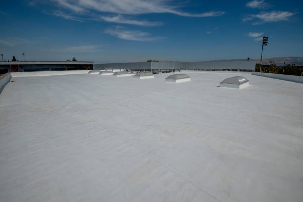 Best Roof Ventilation Installation  in Doolittle, TX